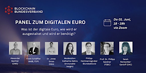 Panel zum digitalen Euro primary image