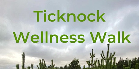 Ticknock Wellness Walk with Forest Bathing, Mindful Meditation and Reiki