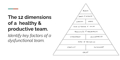 The 12 dimensions of a  healthy & productive team.