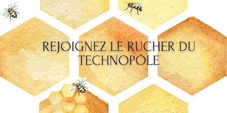 Image principale de Réunion de présentation du rucher du Technopôle