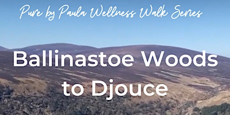 Ballinastoe Woods to Djouce Wellness Walk