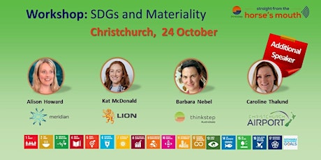 How the Sustainable Development Goals and Materiality Assessment complement each other - Christchurch workshop primary image