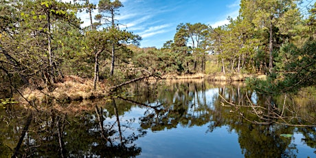 Imagen principal de Walking With Cameras around Bystock Pools and the Wheathill Plantation