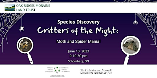 Species Discovery | Critters of the Night: Moth and Spider Mania!