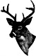 Organizer profile image