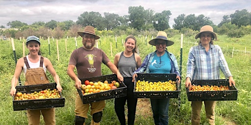 Immagine principale di Volunteer Mornings at Farmshare Austin 