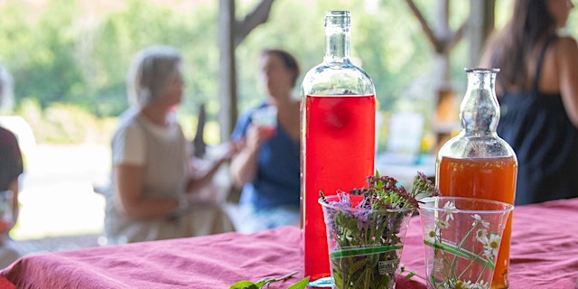 Image principale de Savor the Summer: Herbal Syrups, Shrubs & Spritzers with Spoonful Herbals