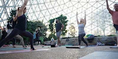 Image principale de Sunset Yoga and Sound Bath in the Show Dome