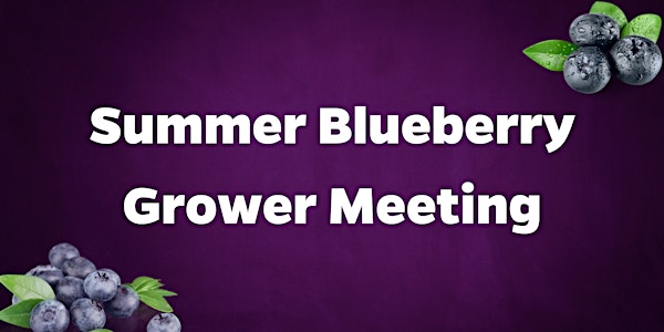 Summer Blueberry Meeting