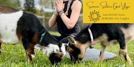 Summer Solstice Goat Yoga on the Farm!