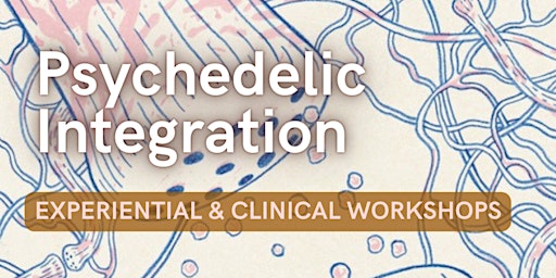Psychedelic Integration: Experiential & Clinical Workshop primary image