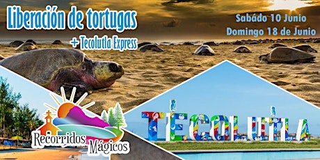 Imagen principal de Liberación de Tortugas + Tecolutla Express