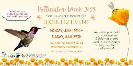 Pollinator Week 2023: Self-Guided & Volunteer BioBlitz at the Refuge
