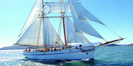 Sausalito Seamanship Sail