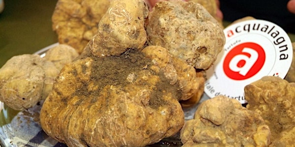 AD ACQUALAGNA È TRUFFLE EXPERIENCE!