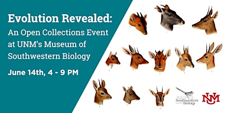 Hauptbild für Evolution Revealed: An Open Collections Event at UNM’s Biology Museum