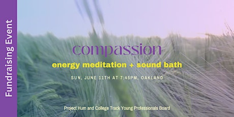 Compassion: Energy Meditation  + Sound Bath