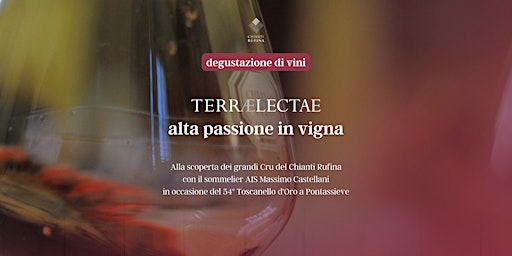 Immagine principale di Degustazione - TerraElectae: alta passione in vigna 
