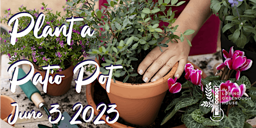 Gardening Together: Plant a Patio Pot primary image