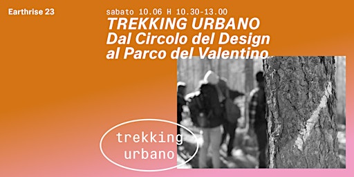 Image principale de TREKKING URBANO  dal Circolo del Design al Parco del Valentino