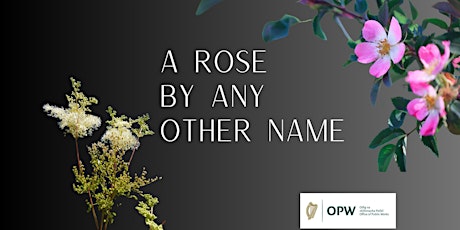 Summer Heritage Series: A Rose by Any Other Name