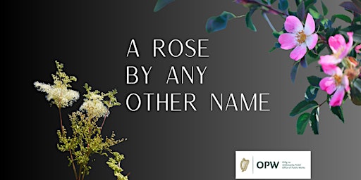Summer Heritage Series: A Rose by Any Other Name primary image