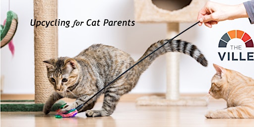 Upcycling for Cat Parents