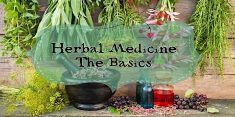 Herbal Medicine - The Basics (Part 1) primary image