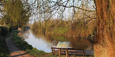 Hauptbild für chichester & west sussex photography & tourist tours of the southdowns area