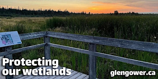 Protecting Our Wetlands