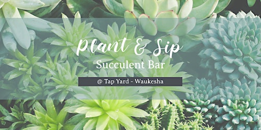 Plant & Sip | Succulent Bar primary image