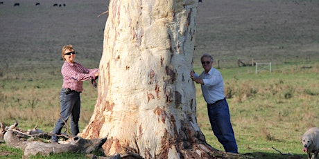 Yass to Wyangala - Paddock Tree Adventure primary image