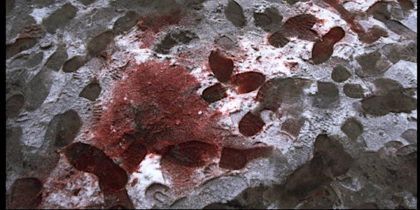 Forensic Aesthetics