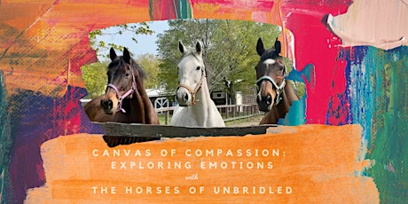 Canvas of Compassion: Exploring Emotions with The Horses of Unbridled primary image