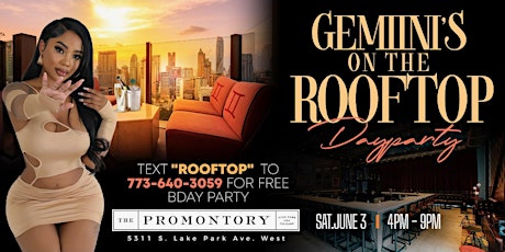 Geminis On The Rooftop