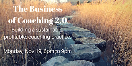 The Business of Coaching 2.0 Building a Profitable & Sustainable Practice primary image