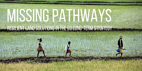 Imagen principal de Missing pathways: resilient land solutions in the EU long-term strategy