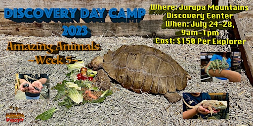 Amazing Animals - Week#5 - JMDC's Discovery Day Camp primary image