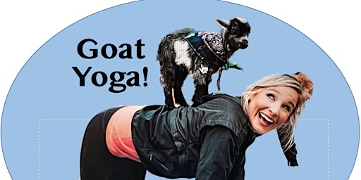 Image principale de Goat Yoga!  For Fun and Relaxation