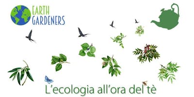 L'ecologia all'ora del tè - Compost e lettiera: dove si trasforma la materia L'ecologia all'ora del tè - Compost e lettiera: dove si trasforma la materia