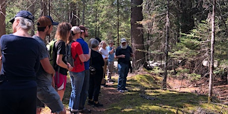Forest Ecology Walk with Tom Wessels (a fundraiser for Seaweeds of Maine)