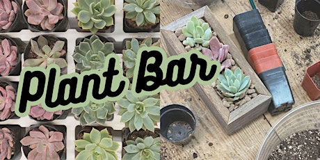 Plant Up Bar