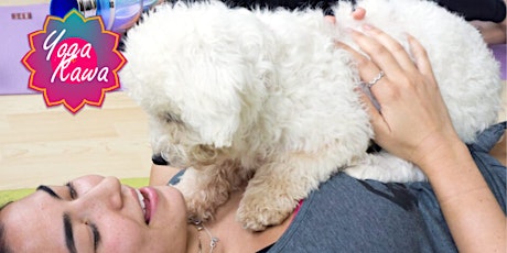A Date with Puppies at Puppy Yoga by Yoga Kawa