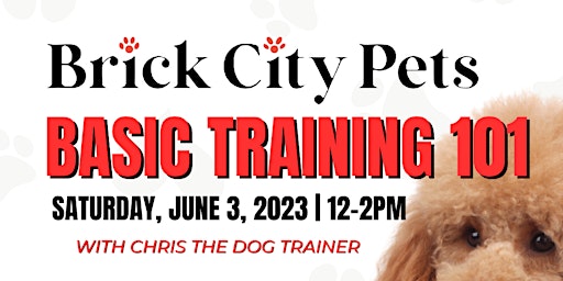 Basic Dog Training 101 with Chris the Dog Trainer
