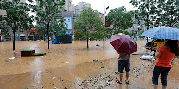 Statistical Methods for Natural Disaster Risk Assessment