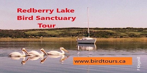 Imagem principal do evento Redberry Lake Bird Sanctuary Tour