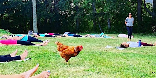 Yoga with Chickens primary image