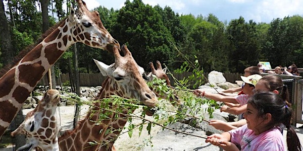 Summer Wild Adventure Program: Adventures & Ecosystems Grades 4-6 Session 1