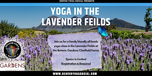 Immagine principale di Yoga in the Lavender Fields at the Botanic Gardens Chatfield Farms 