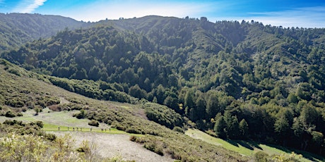 Big Sur Land Trust Earth Day guided hike: Williams Canyon to Rancho Cañada